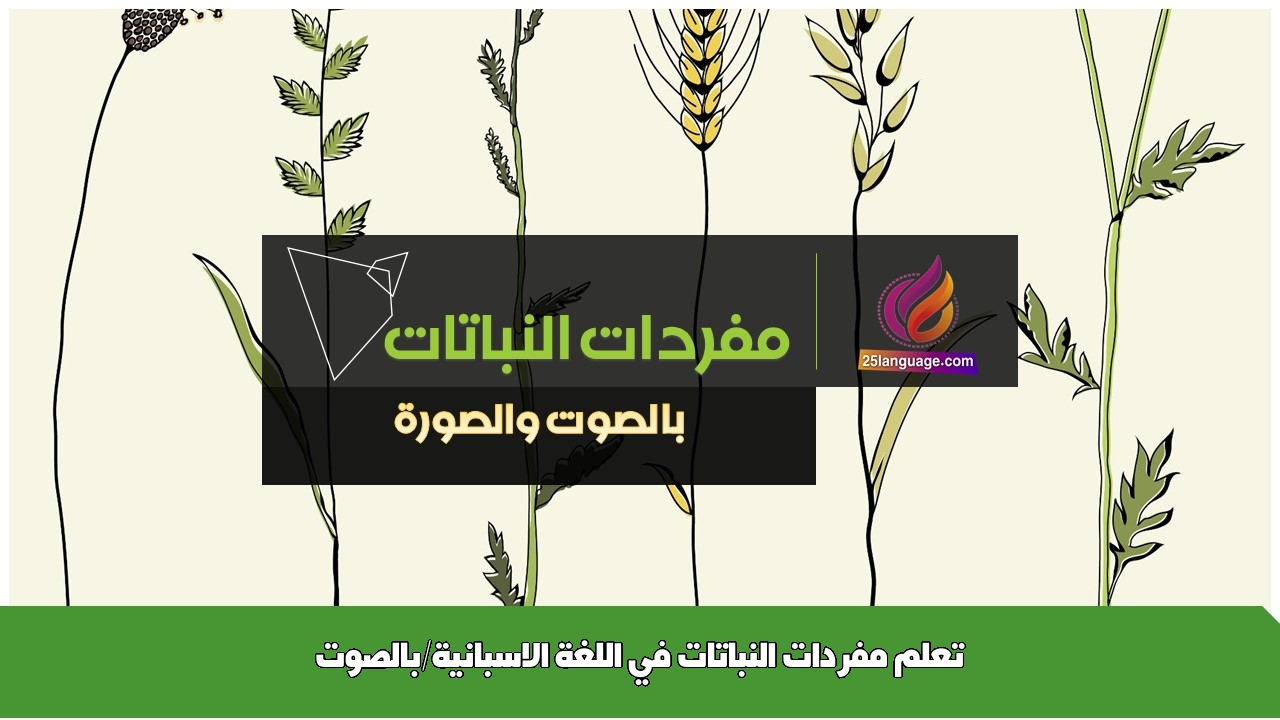 تعلم مفردات النباتات في اللغة الاسبانية/بالصوت