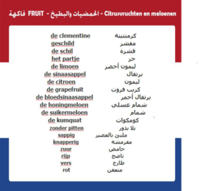 مفردات ومصطلحات في اللغة الهولندية