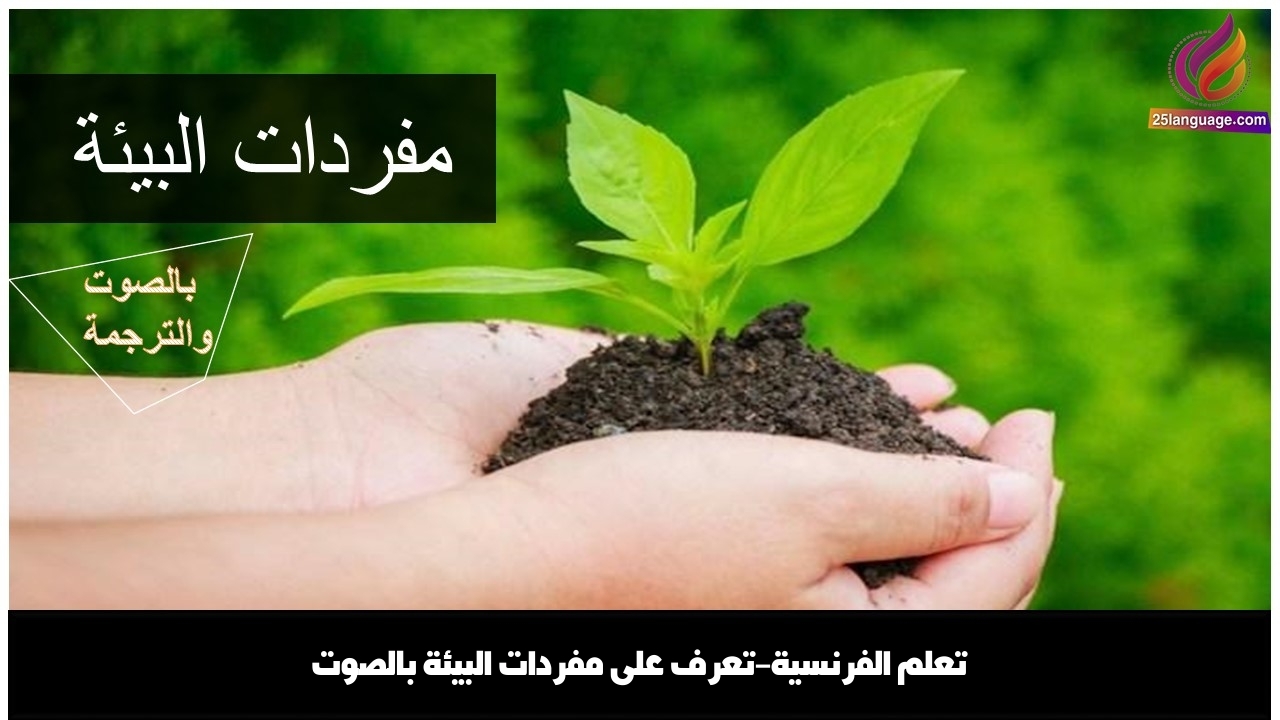 تعلم الفرنسية-تعرف على مفردات البيئة بالصوت