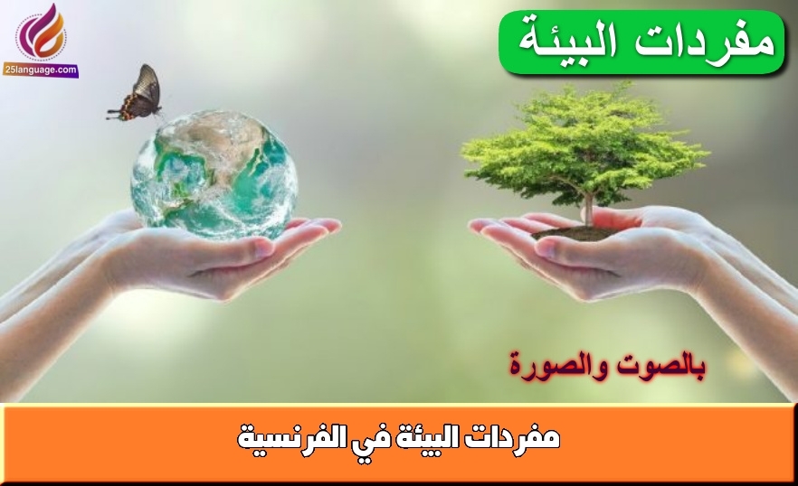 مفردات البيئة في الفرنسية
