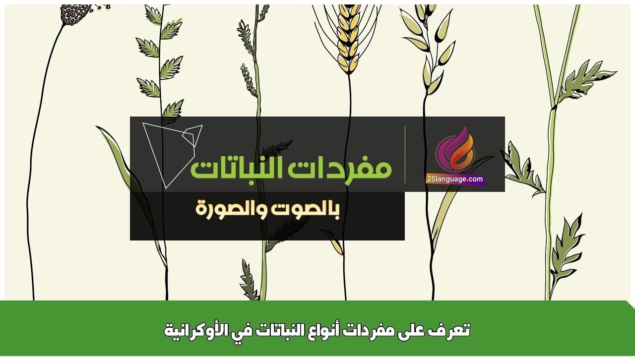 تعرف على مفردات أنواع النباتات في الأوكرانية