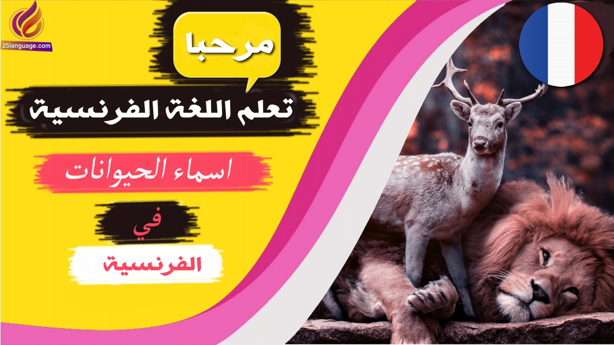 أسماء الحيوانات بالفرنسية