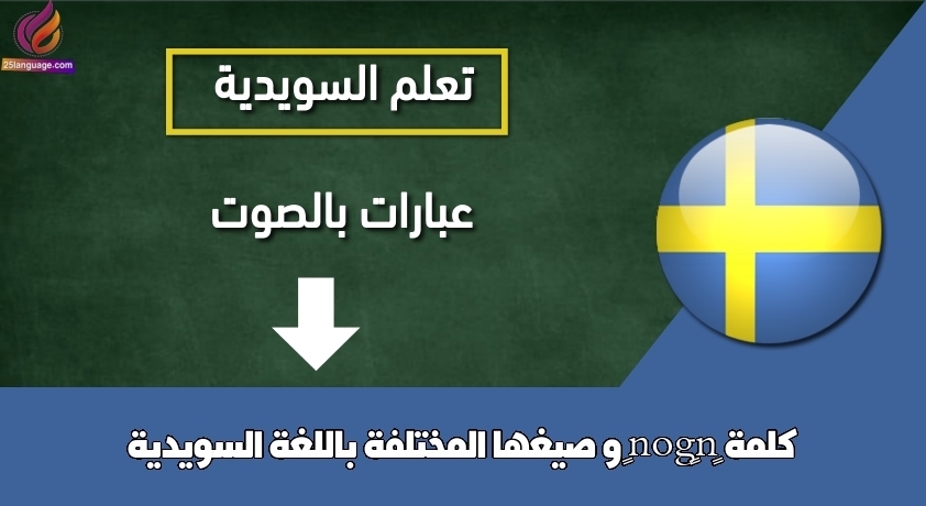 كلمة “någon” و صيغها المختلفة باللغة السويدية