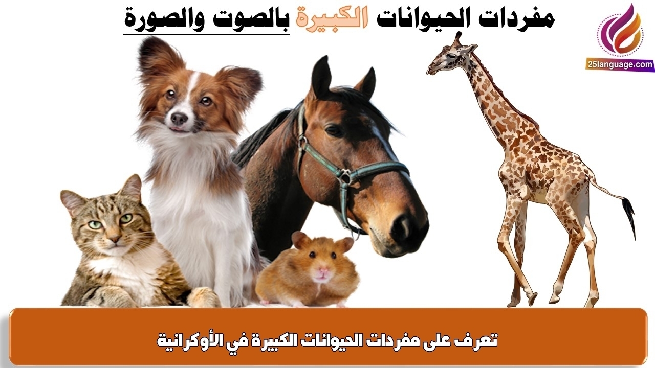 تعرف على مفردات الحيوانات الكبيرة في الأوكرانية