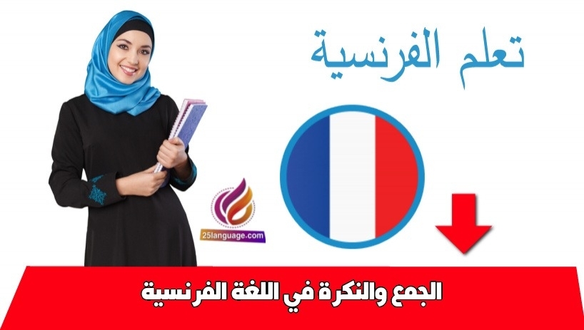 الجمع والنكرة في اللغة الفرنسية