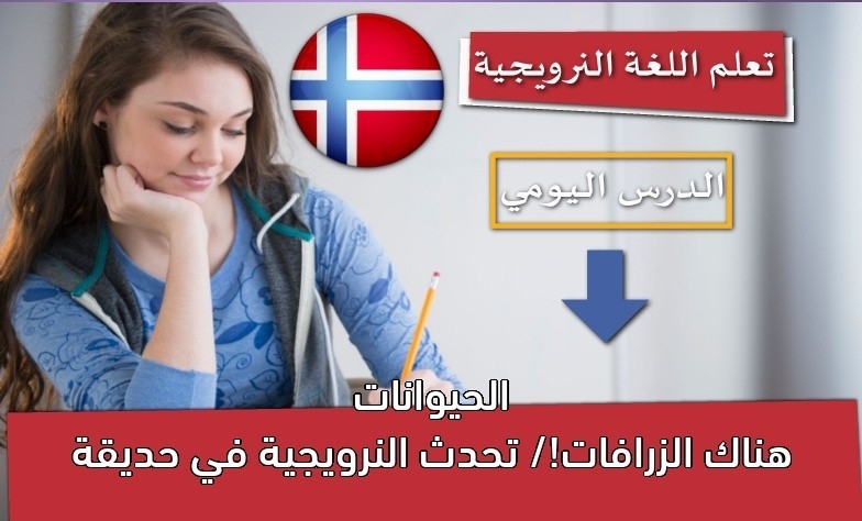 هناك الزرافات!/ تحدث النرويجية في حديقة الحيوانات