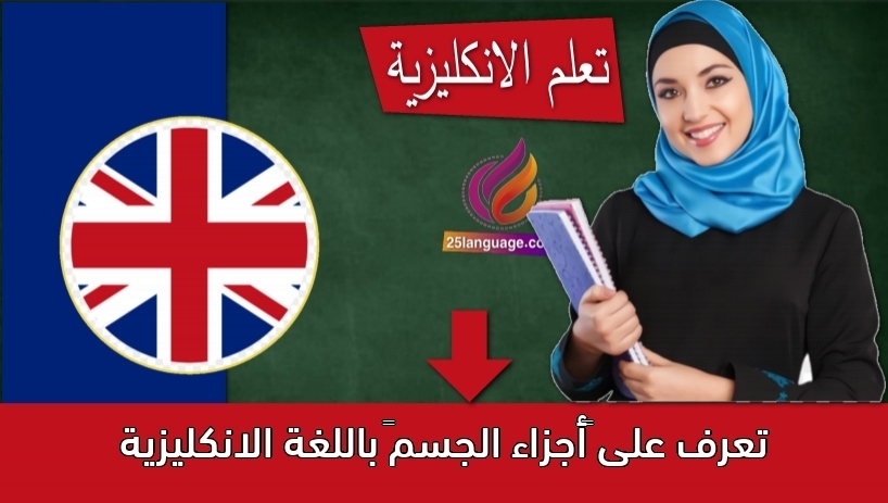 تعرف على “أجزاء الجسم” باللغة الانكليزية