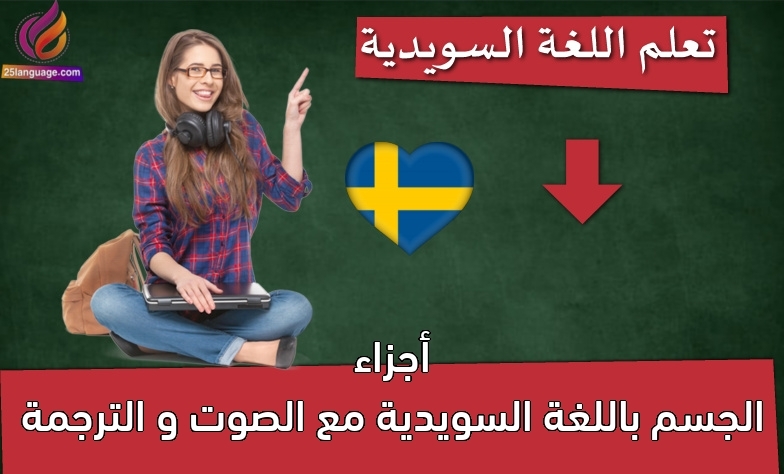 أجزاء الجسم باللغة السويدية مع الصوت و الترجمة