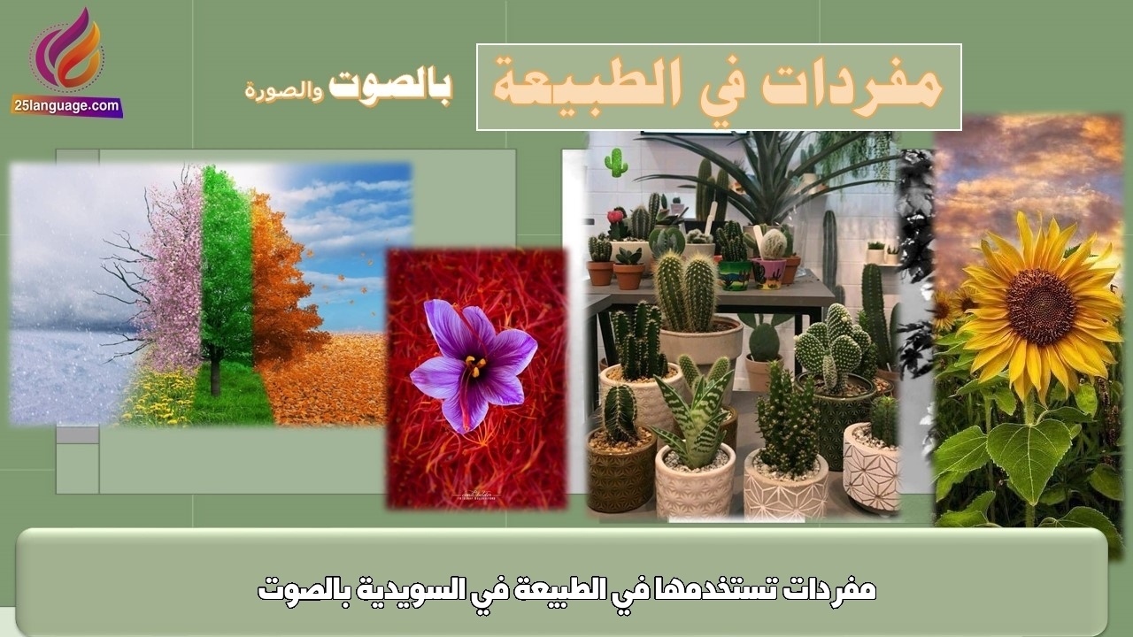 مفردات تستخدمها في الطبيعة في السويدية بالصوت