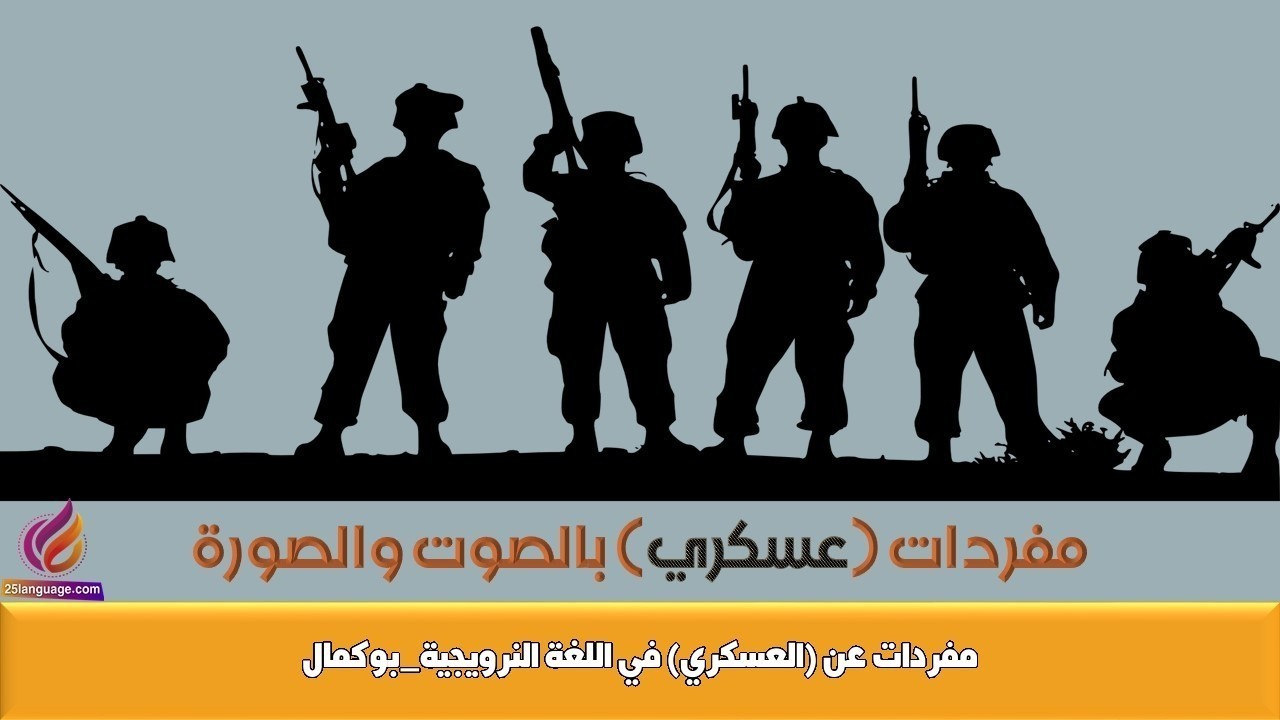 مفردات عن (العسكري) في اللغة النرويجية_بوكمال