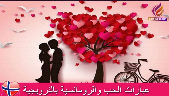 عبارات رومانسية في اللغة النرويجية
