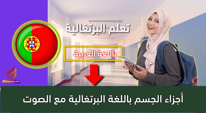 أجزاء الجسم باللغة البرتغالية مع الصوت