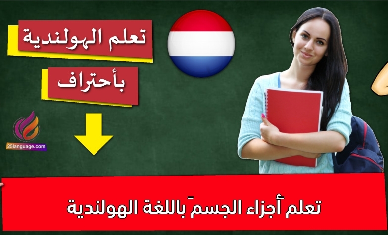 تعلم “أجزاء الجسم” باللغة الهولندية
