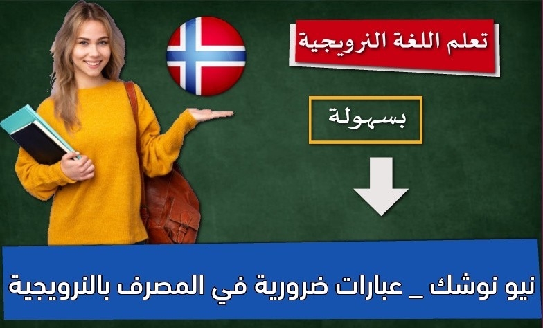 نيو نوشك _ عبارات ضرورية في المصرف بالنرويجية