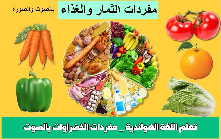 تعلم اللغة الهولندية _ مفردات الخضراوات بالصوت