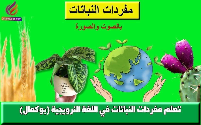 تعلم مفردات النباتات في اللغة النرويجية (بوكمال)