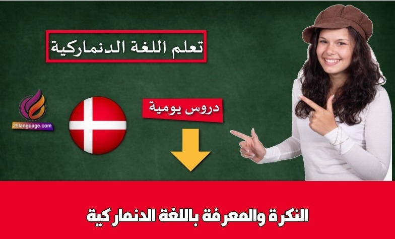 النكرة والمعرفة باللغة الدنماركية