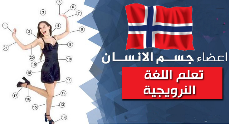 اعضاء جسم الانسان باللغة النرويجية