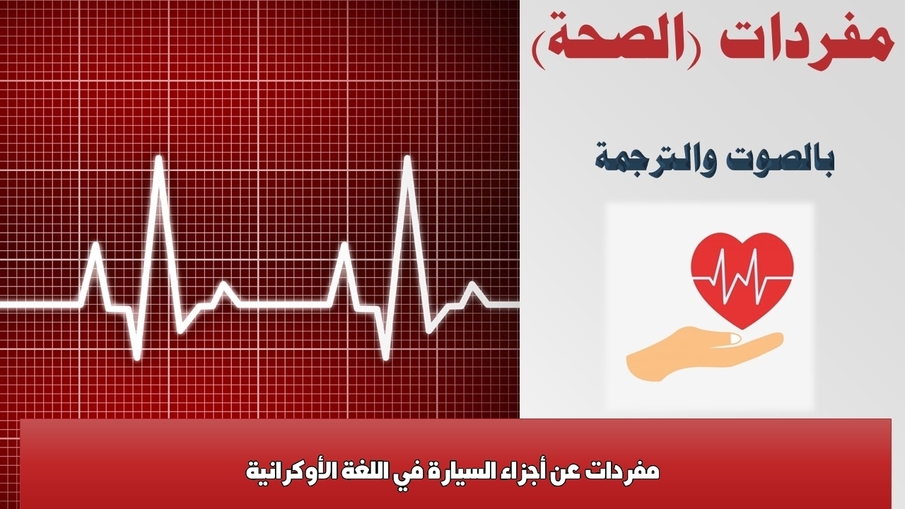 مفردات عن أجزاء السيارة في اللغة الأوكرانية