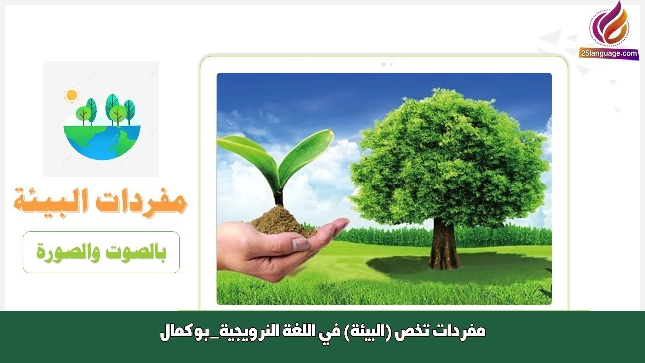 مفردات تخص (البيئة) في اللغة النرويجية_بوكمال