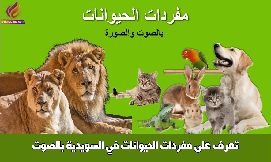 تعرف على مفردات الحيوانات في السويدية بالصوت