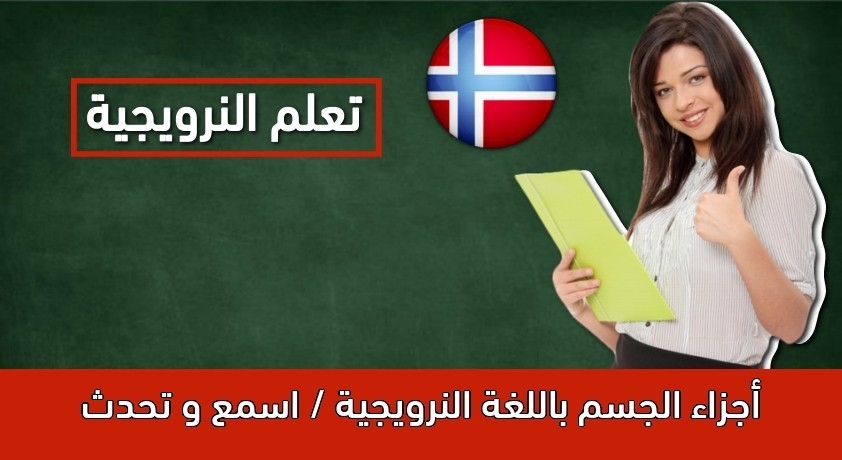 أجزاء الجسم باللغة النرويجية / اسمع و تحدث