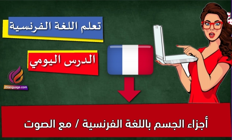 أجزاء الجسم باللغة الفرنسية / مع الصوت