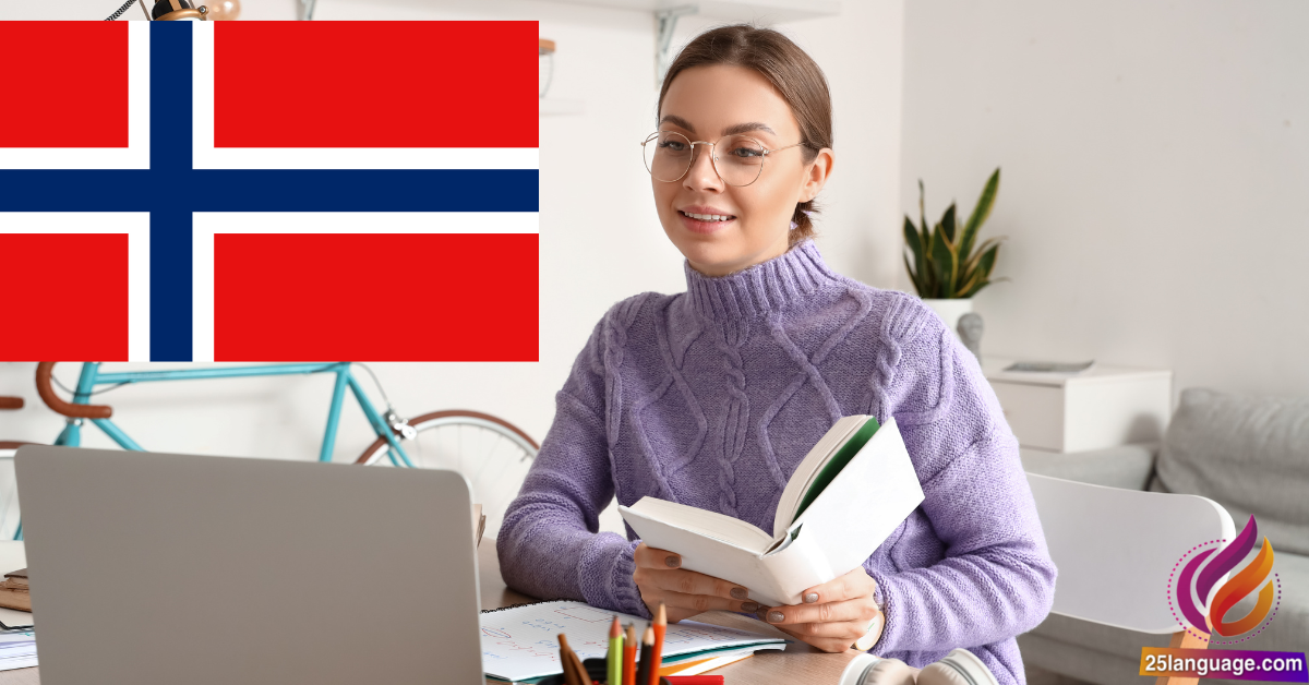 الفرق بين استخدام الزمن الماضي البسيط والمستمر في اللغة النرويجية