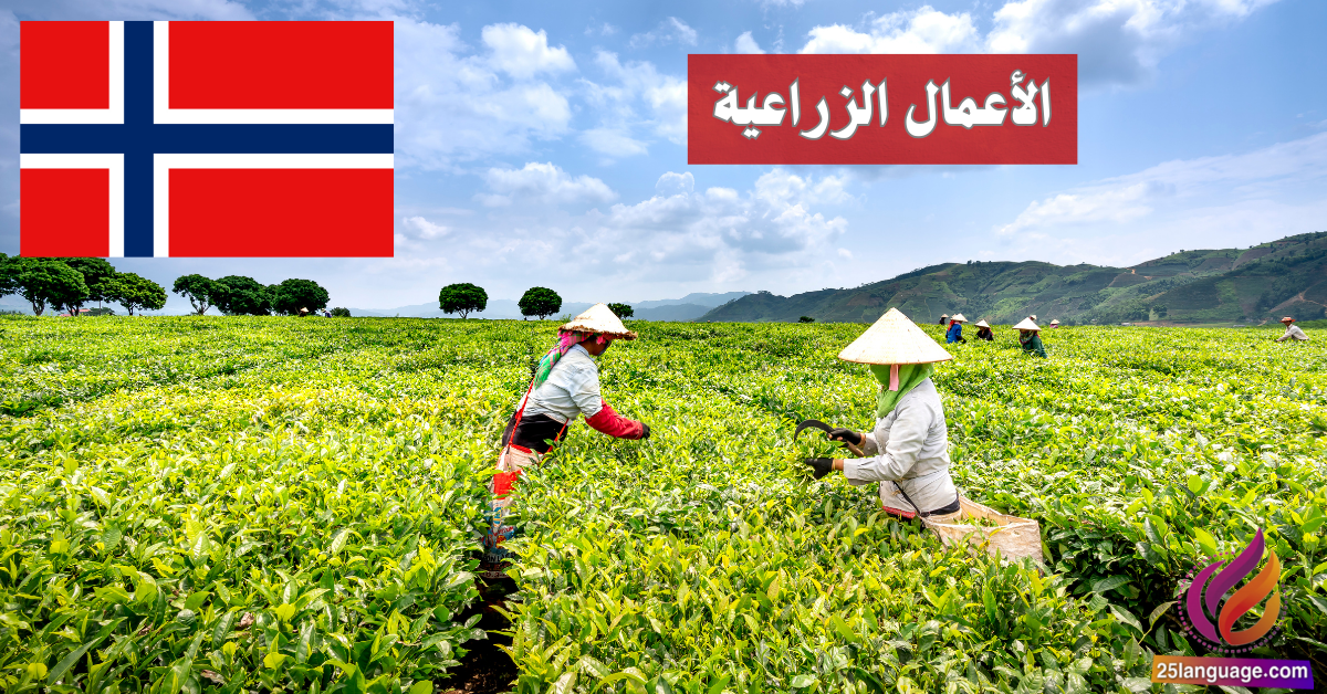 عبارات الأعمال الزراعية باللغة النرويجية