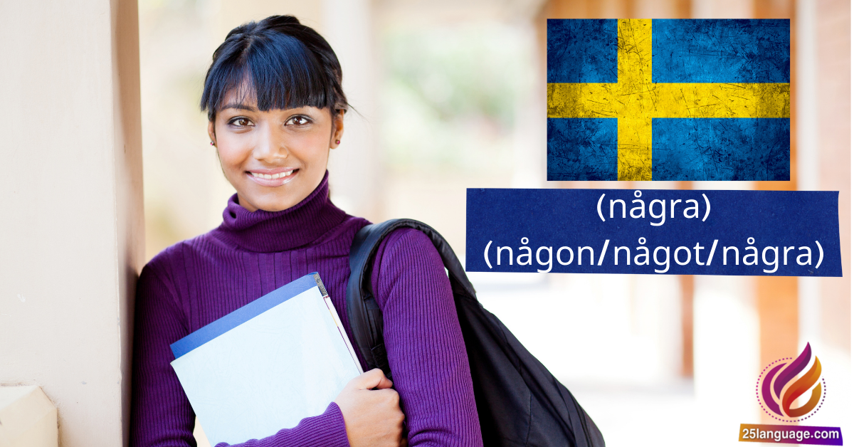 الأدوات några وnågon/något/några في اللغة السويدية