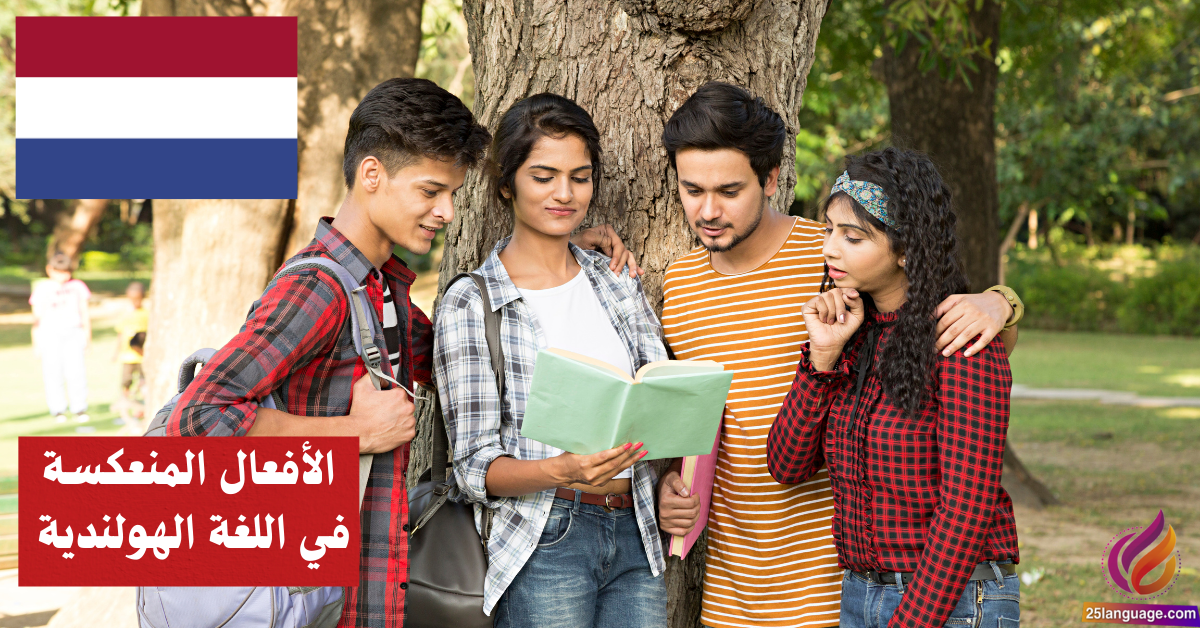 الأفعال المنعكسة في اللغة الهولندية