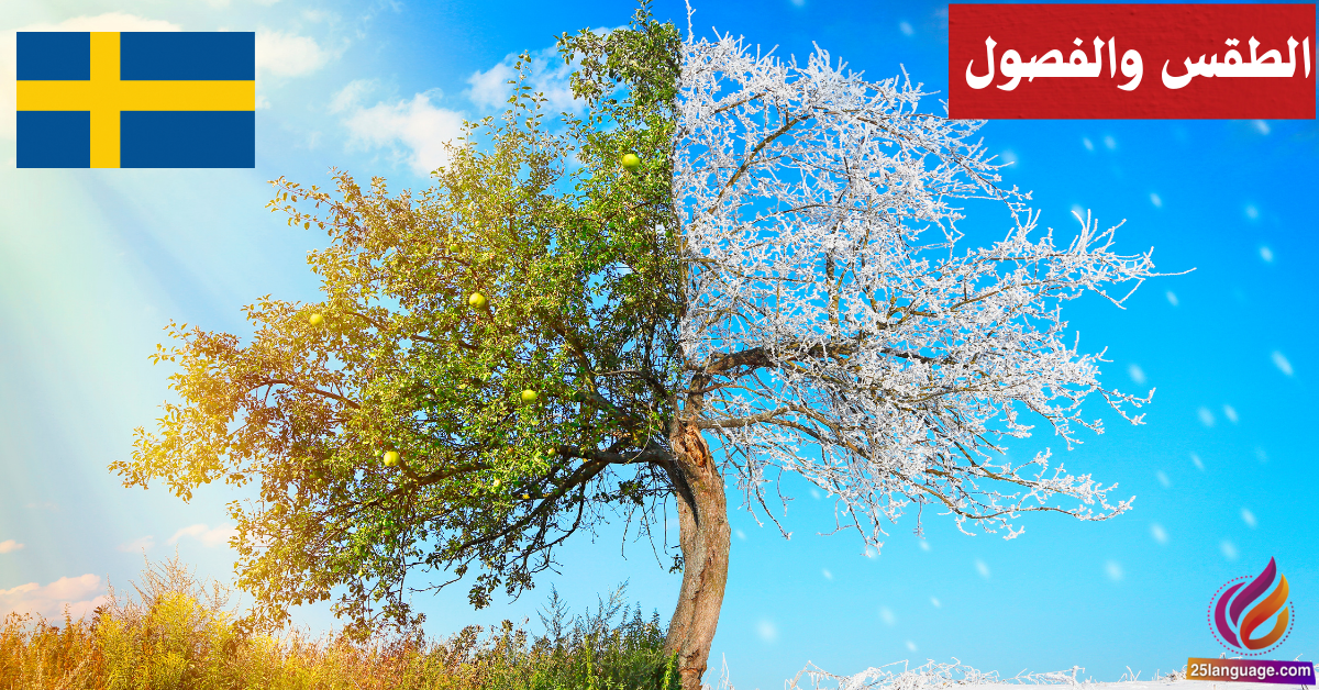 التحدث عن الطقس والفصول في اللغة السويدية