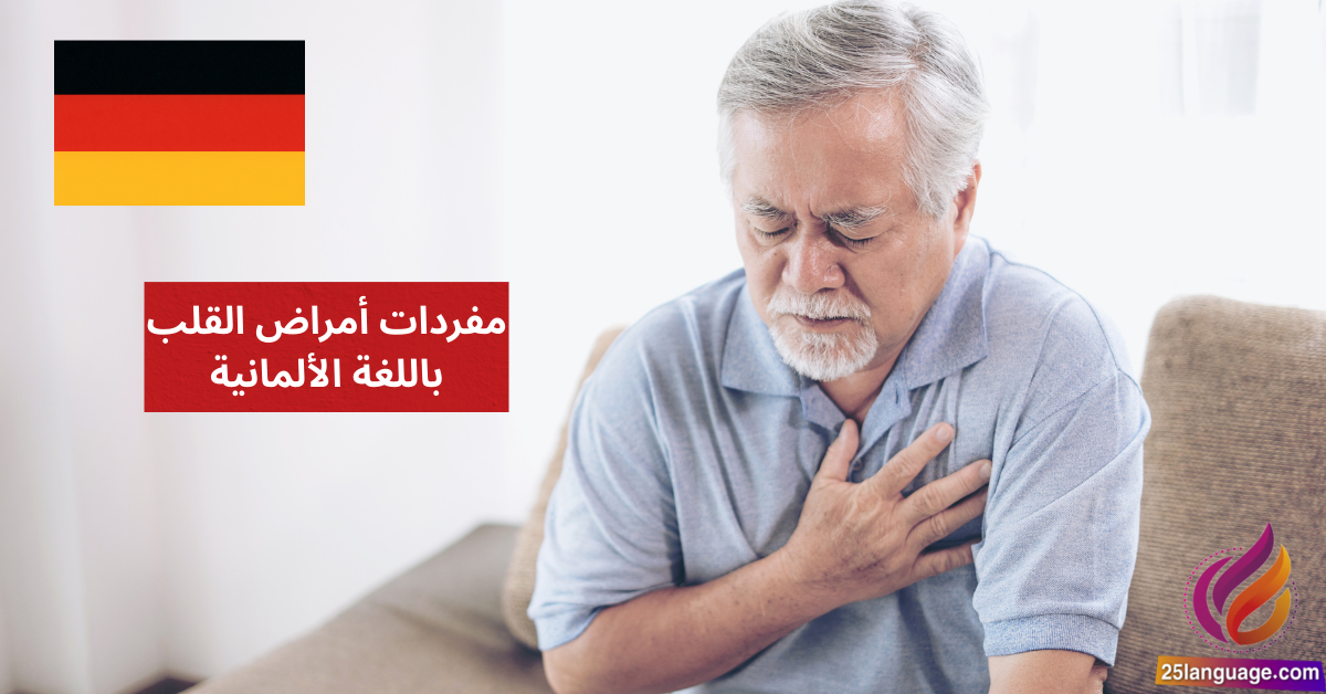 Mein Herz schlägt unregelmäßig مفردات أمراض القلب باللغة الألمانية
