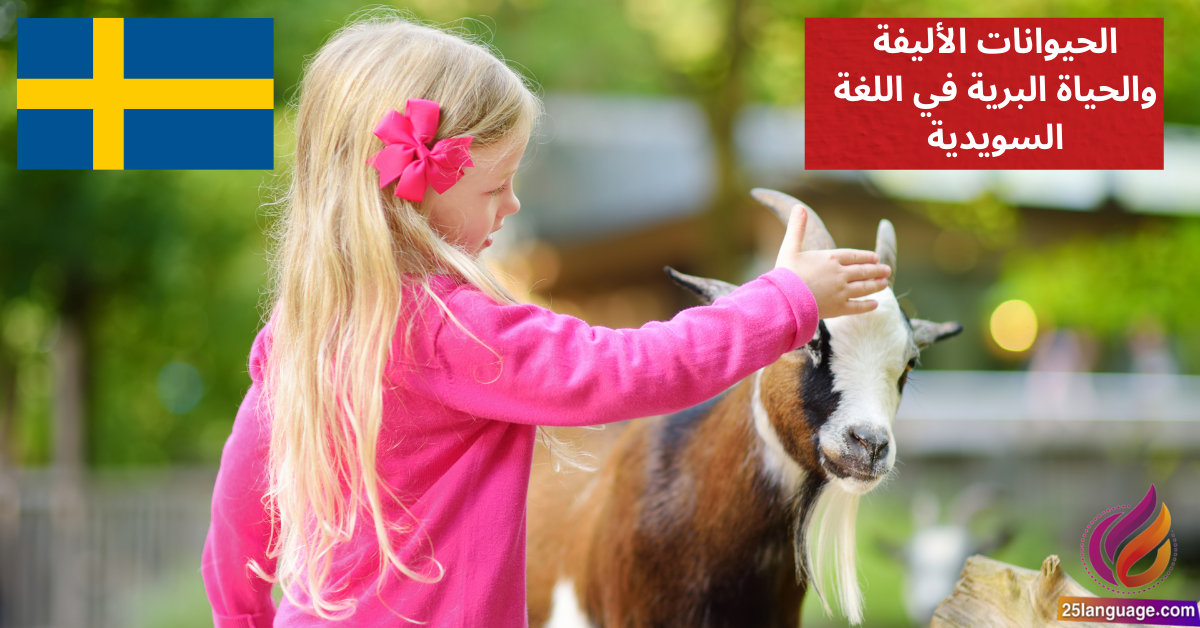 التحدث عن الحيوانات الأليفة والحياة البرية في اللغة السويدية