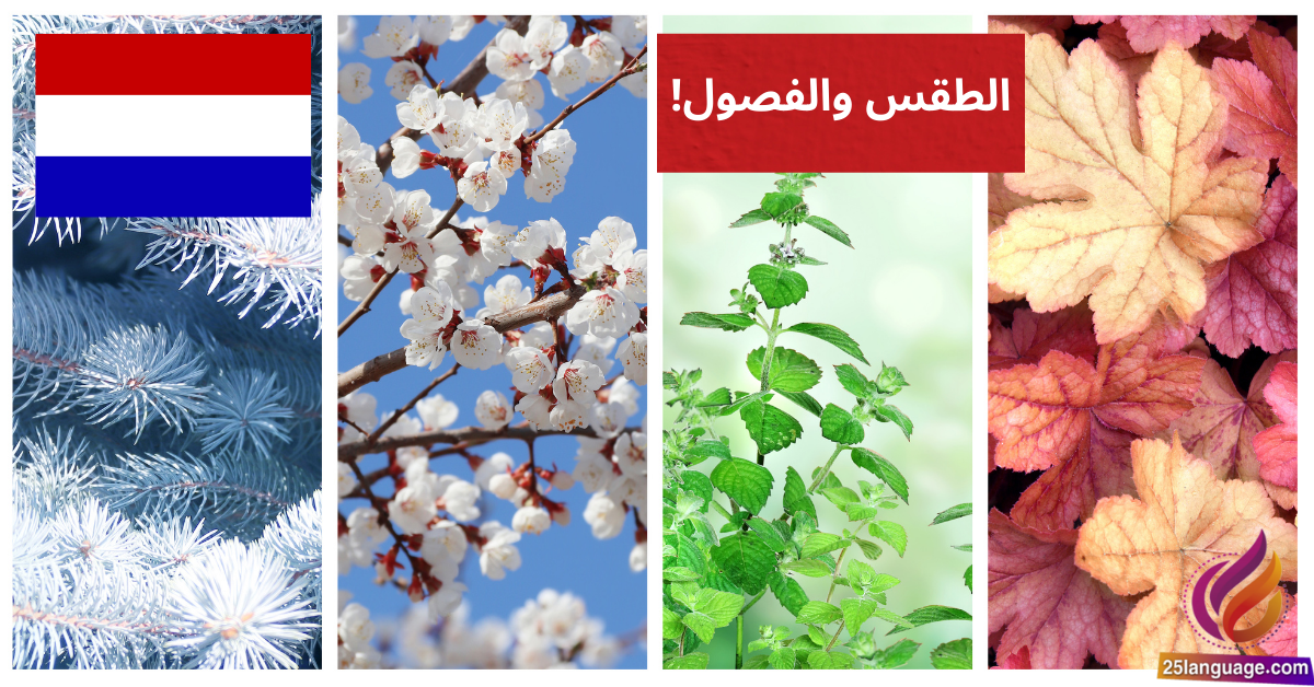 استمتع بتعلم الهولندية حديث ممتع عن الطقس والفصول